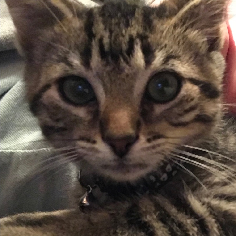 Meet your Posher, Becky